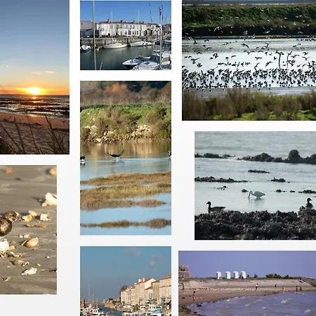 Ile De Re, La Danae, Velos, Wifi, Possibilite Cuisine, Linge, Parking Gratuit Saint-Martin-de-Re