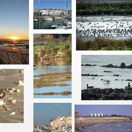 Ile De Re, La Danae, Velos, Wifi, Possibilite Cuisine, Linge, Parking Gratuit Casa de Férias Saint-Martin-de-Ré